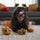 Halloween Glasses Children Adult Funny Glasses Frame