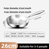 316 Stainless Steel Frying Pan with Foldable Handle